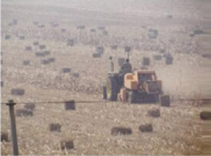 周口商場(chǎng)的一次“PK”