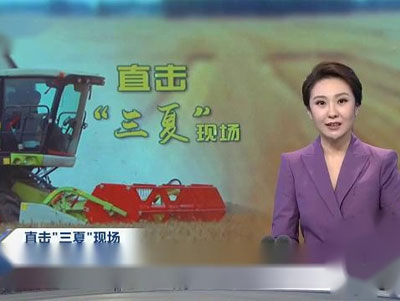 農(nóng)戶(hù)不花一分錢(qián)“一條龍”服務(wù) 推進(jìn)秸稈離田